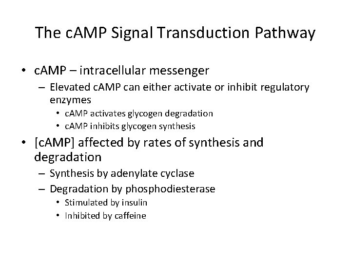The c. AMP Signal Transduction Pathway • c. AMP – intracellular messenger – Elevated