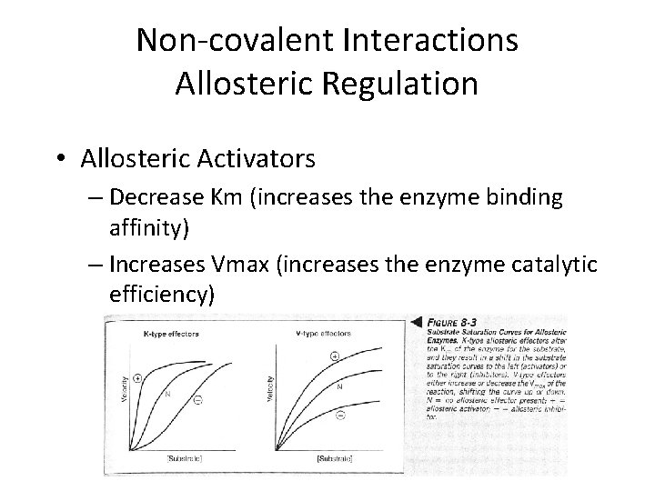 Regulation of Metabolism Regulation of Metabolism How does