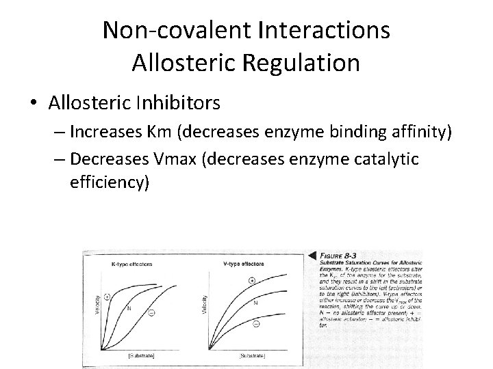 Regulation of Metabolism Regulation of Metabolism How does