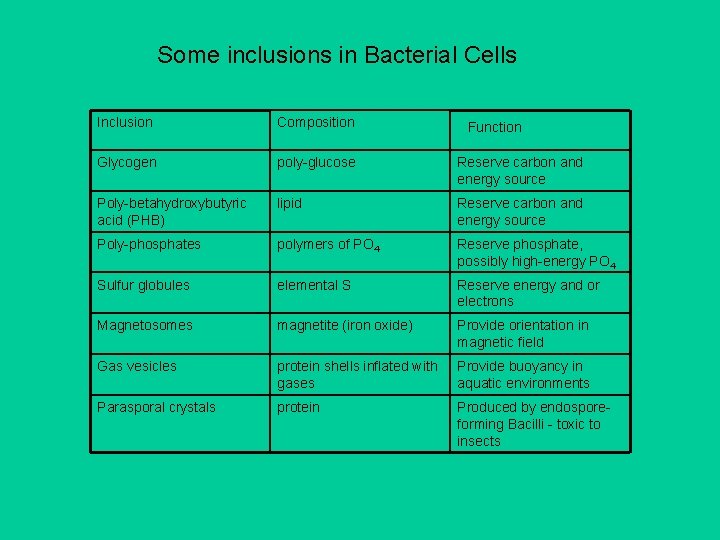 Some inclusions in Bacterial Cells Inclusion Composition Glycogen poly-glucose Reserve carbon and energy source