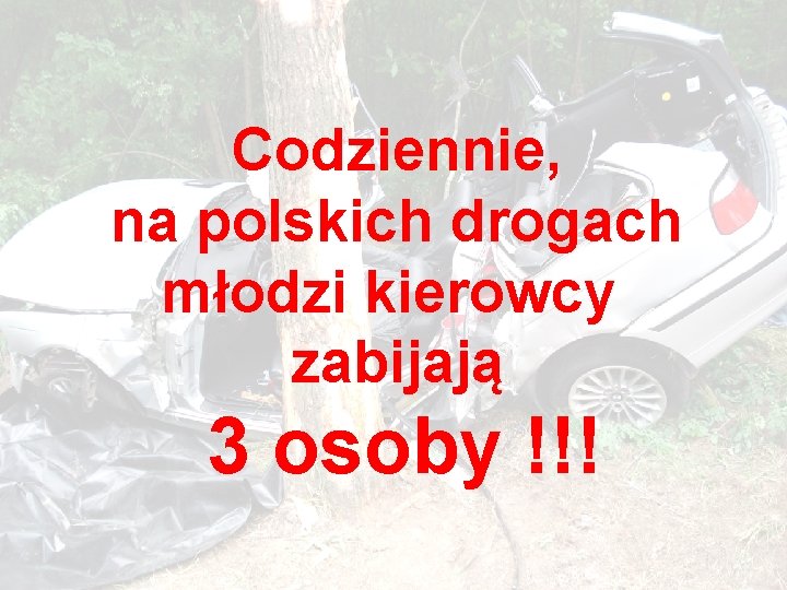Codziennie, na polskich drogach młodzi kierowcy zabijają 3 osoby !!! 