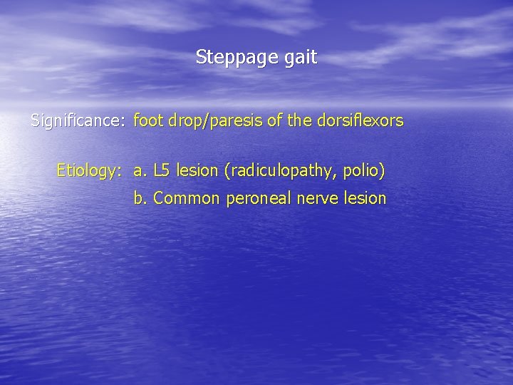 Steppage gait Significance: foot drop/paresis of the dorsiflexors Etiology: a. L 5 lesion (radiculopathy,