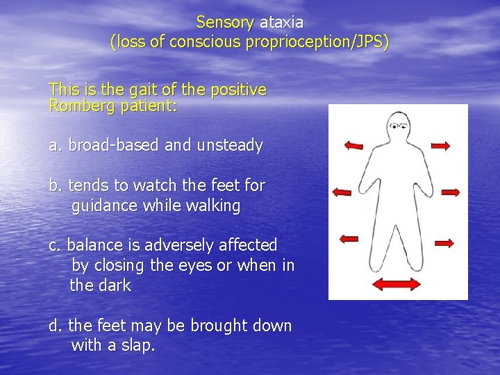 Sensory ataxia (loss of conscious proprioception/JPS) This is the gait of the positive Romberg