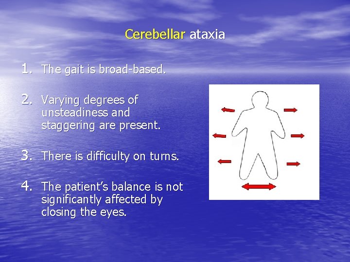 Cerebellar ataxia 1. The gait is broad-based. 2. Varying degrees of unsteadiness and staggering Cerebellar ataxia 1. The gait is broad-based. 2. Varying degrees of unsteadiness and staggering