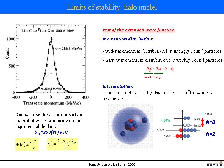 Limits of stability: halo nuclei test of the extended wave function momentum distribution: -