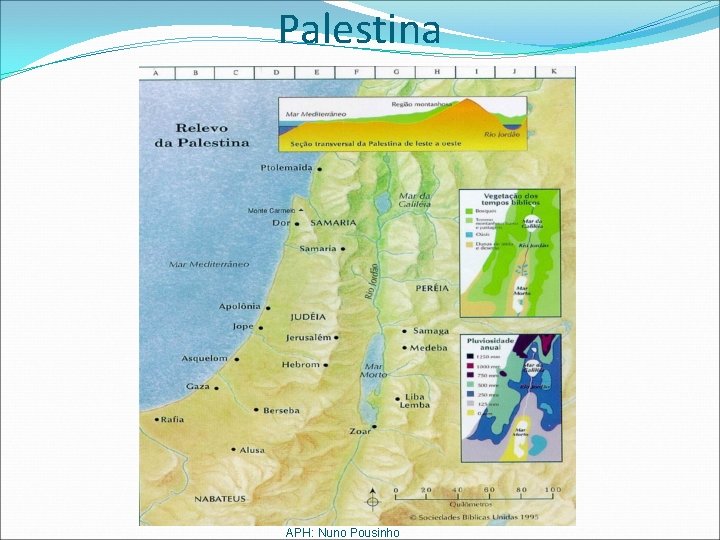 Palestina APH: Nuno Pousinho 