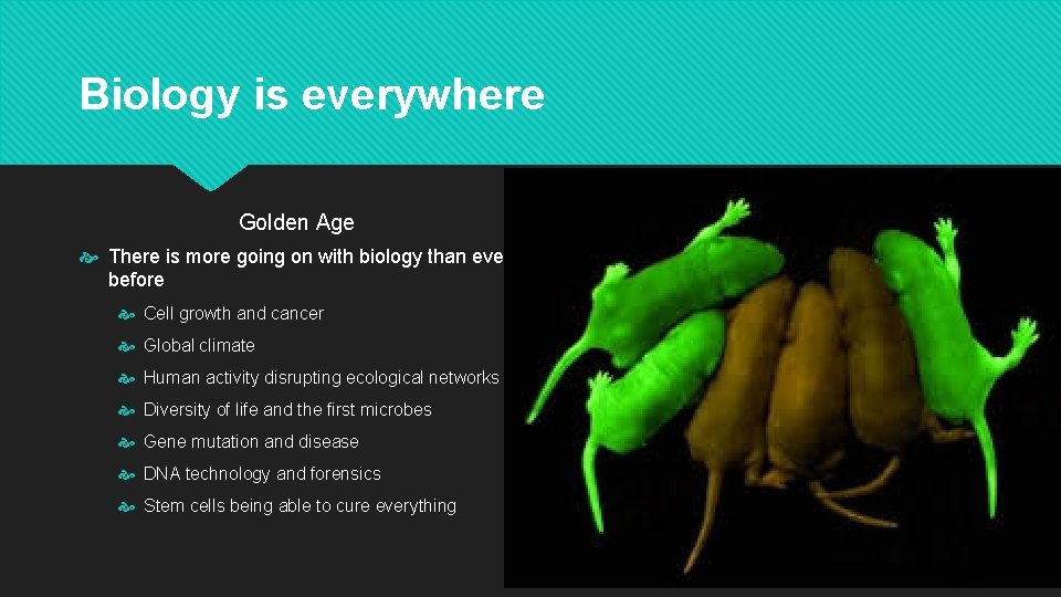Biology is everywhere Golden Age There is more going on with biology than ever