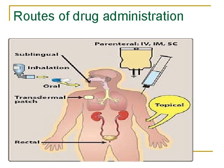 Routes of drug administration 