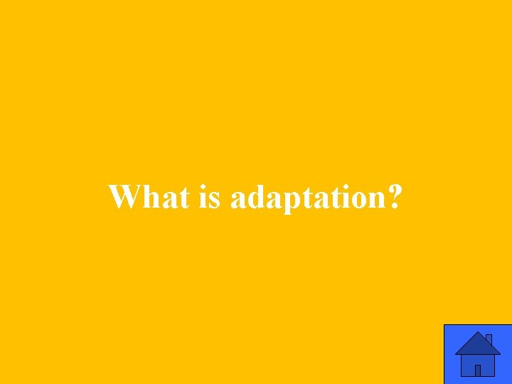 What is adaptation? 