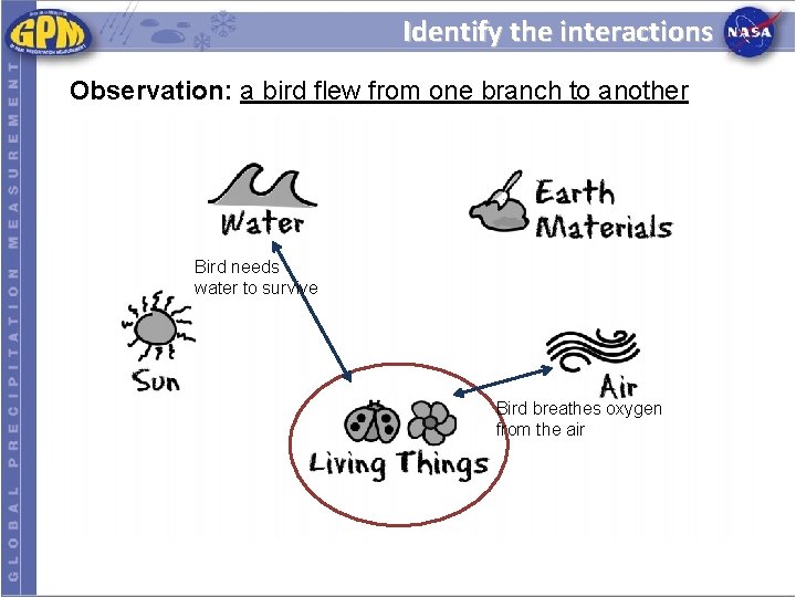 Identify the interactions Observation: a bird flew from one branch to another Bird needs Identify the interactions Observation: a bird flew from one branch to another Bird needs