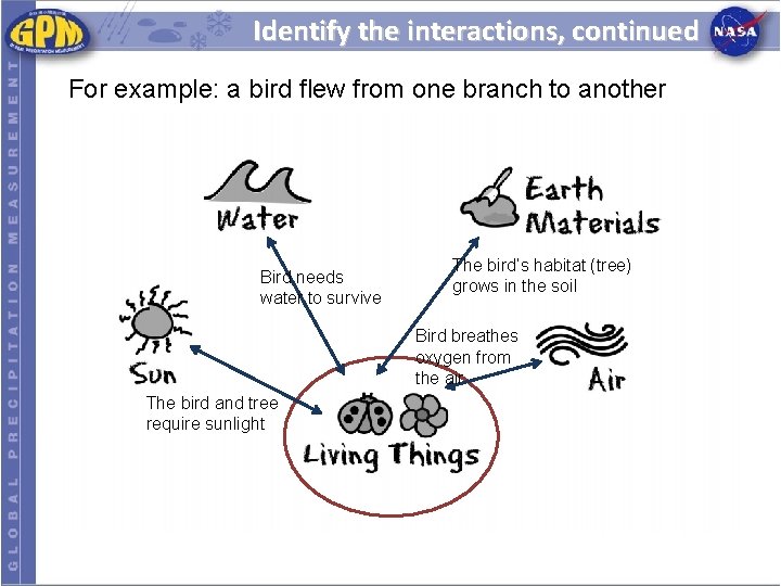 Identify the interactions, continued For example: a bird flew from one branch to another Identify the interactions, continued For example: a bird flew from one branch to another