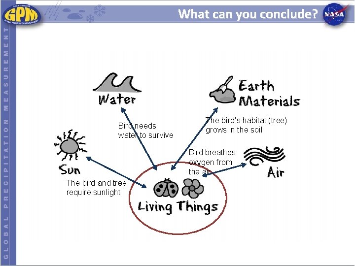 What can you conclude? Bird needs water to survive The bird’s habitat (tree) grows What can you conclude? Bird needs water to survive The bird’s habitat (tree) grows