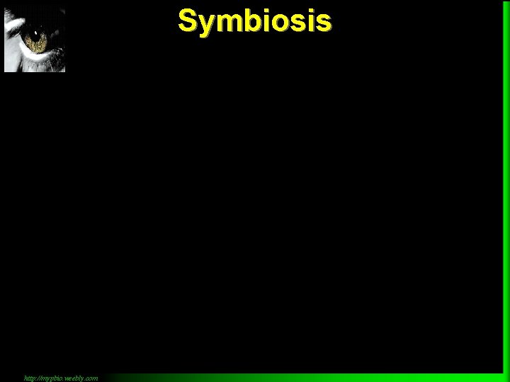 Symbiosis http: //mypbio. weebly. com 