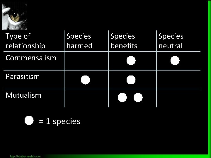 Type of relationship Commensalism Species harmed Parasitism Mutualism = 1 species http: //mypbio. weebly.