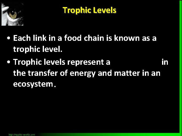Trophic Levels • Each link in a food chain is known as a trophic