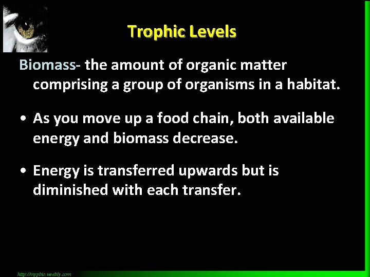 Trophic Levels Biomass- the amount of organic matter comprising a group of organisms in