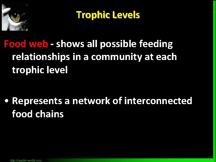 Trophic Levels Food web - shows all possible feeding relationships in a community at