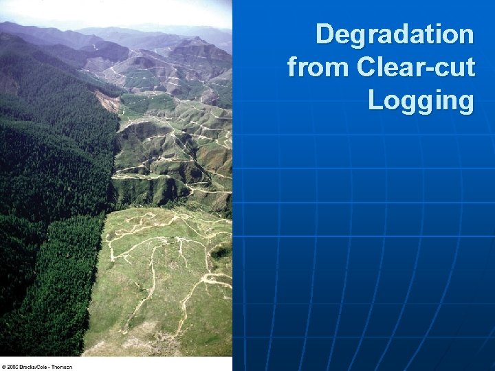 Degradation from Clear-cut Logging 