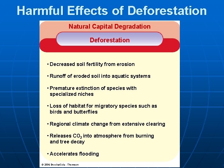 Harmful Effects of Deforestation Natural Capital Degradation Deforestation • Decreased soil fertility from erosion