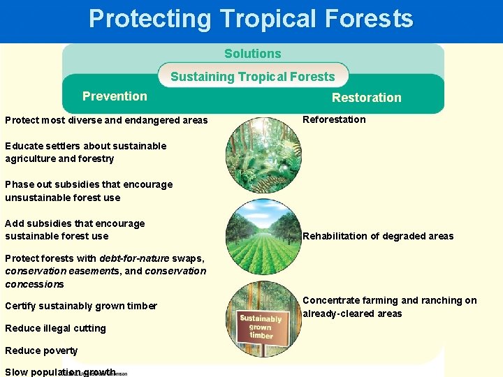 Protecting Tropical Forests Solutions Sustaining Tropical Forests Prevention Protect most diverse and endangered areas