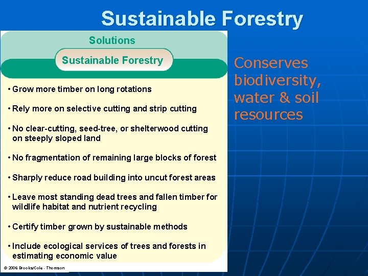 Sustainable Forestry Solutions Sustainable Forestry • Grow more timber on long rotations • Rely
