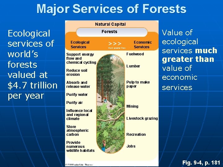 Major Services of Forests Natural Capital Ecological services of world’s forests valued at $4.