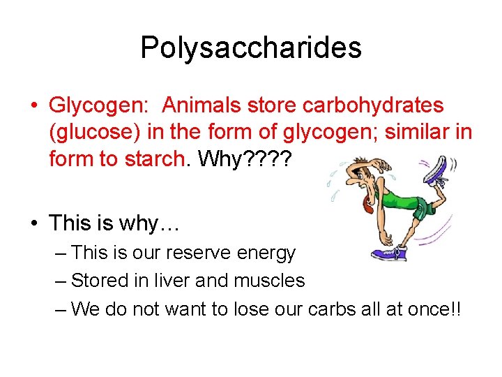 Biomolecules The Building Blocks of Life Biomolecules are