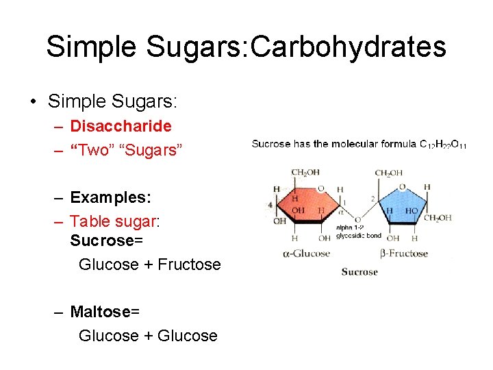 Simple Sugars: Carbohydrates • Simple Sugars: – Disaccharide – “Two” “Sugars” – Examples: –