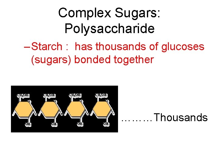 Biomolecules The Building Blocks of Life Biomolecules are