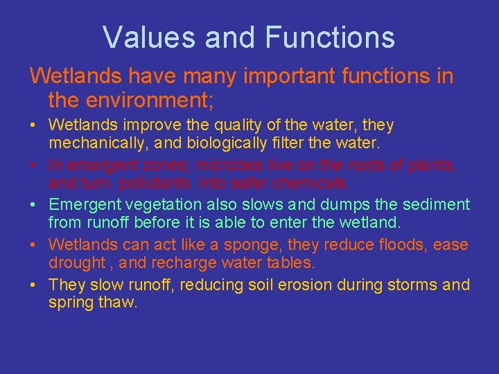 Values and Functions Wetlands have many important functions in the environment; • Wetlands improve