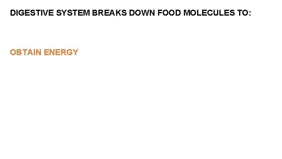 DIGESTIVE SYSTEM BREAKS DOWN FOOD MOLECULES TO: OBTAIN ENERGY 