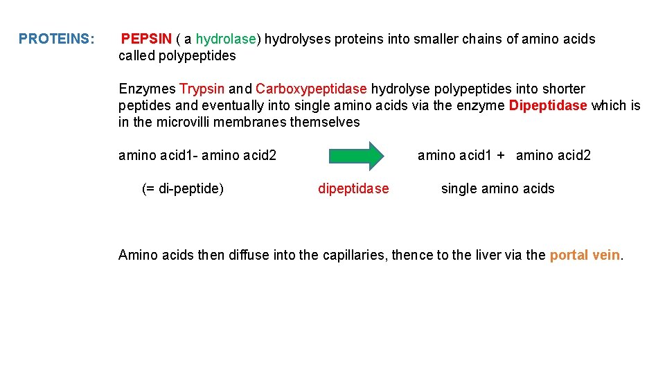 PROTEINS: PEPSIN ( a hydrolase) hydrolyses proteins into smaller chains of amino acids called