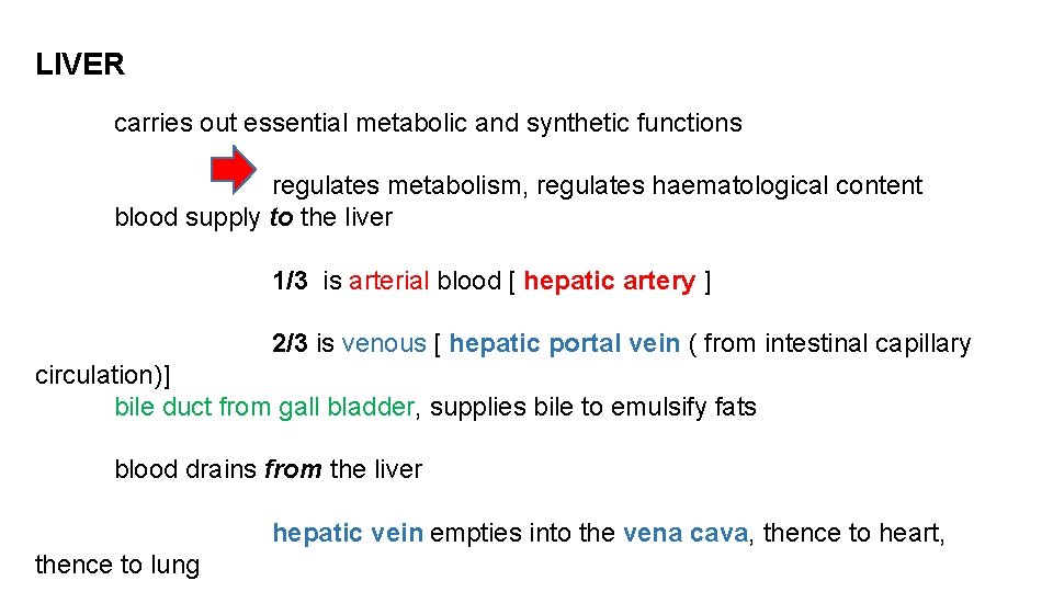 LIVER carries out essential metabolic and synthetic functions regulates metabolism, regulates haematological content blood