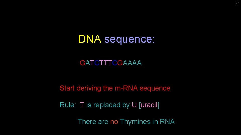 28 DNA sequence: GATCTTTCGAAAA Start deriving the m-RNA sequence Rule: T is replaced by