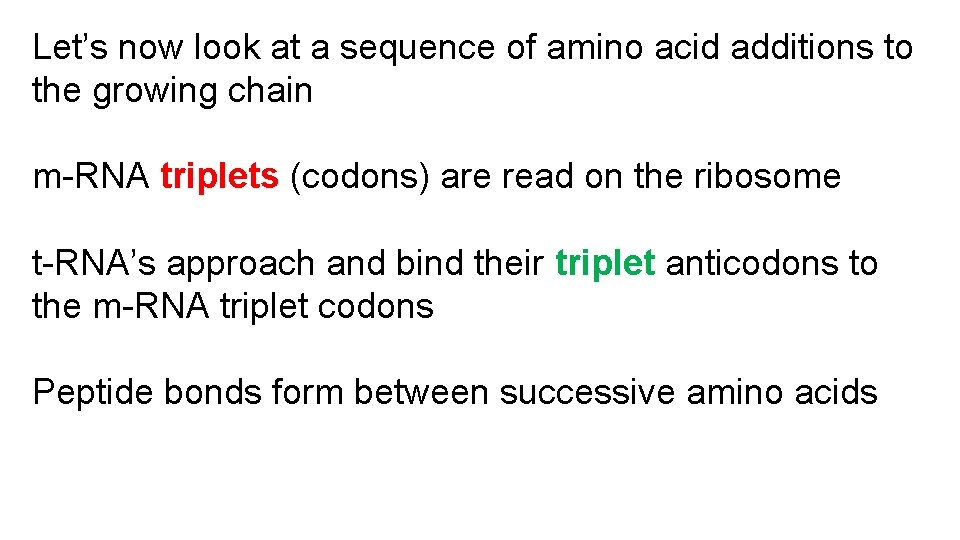 Let’s now look at a sequence of amino acid additions to the growing chain
