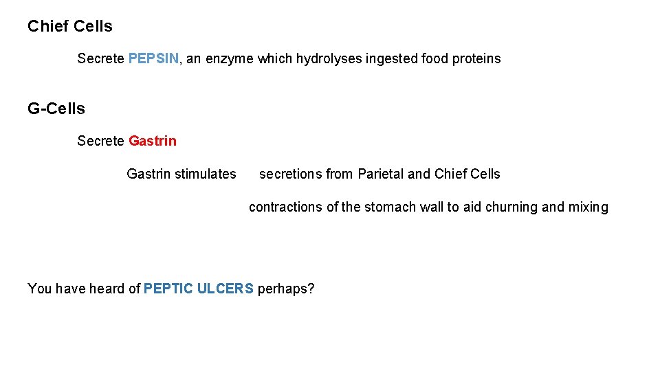 Chief Cells Secrete PEPSIN, an enzyme which hydrolyses ingested food proteins G-Cells Secrete Gastrin