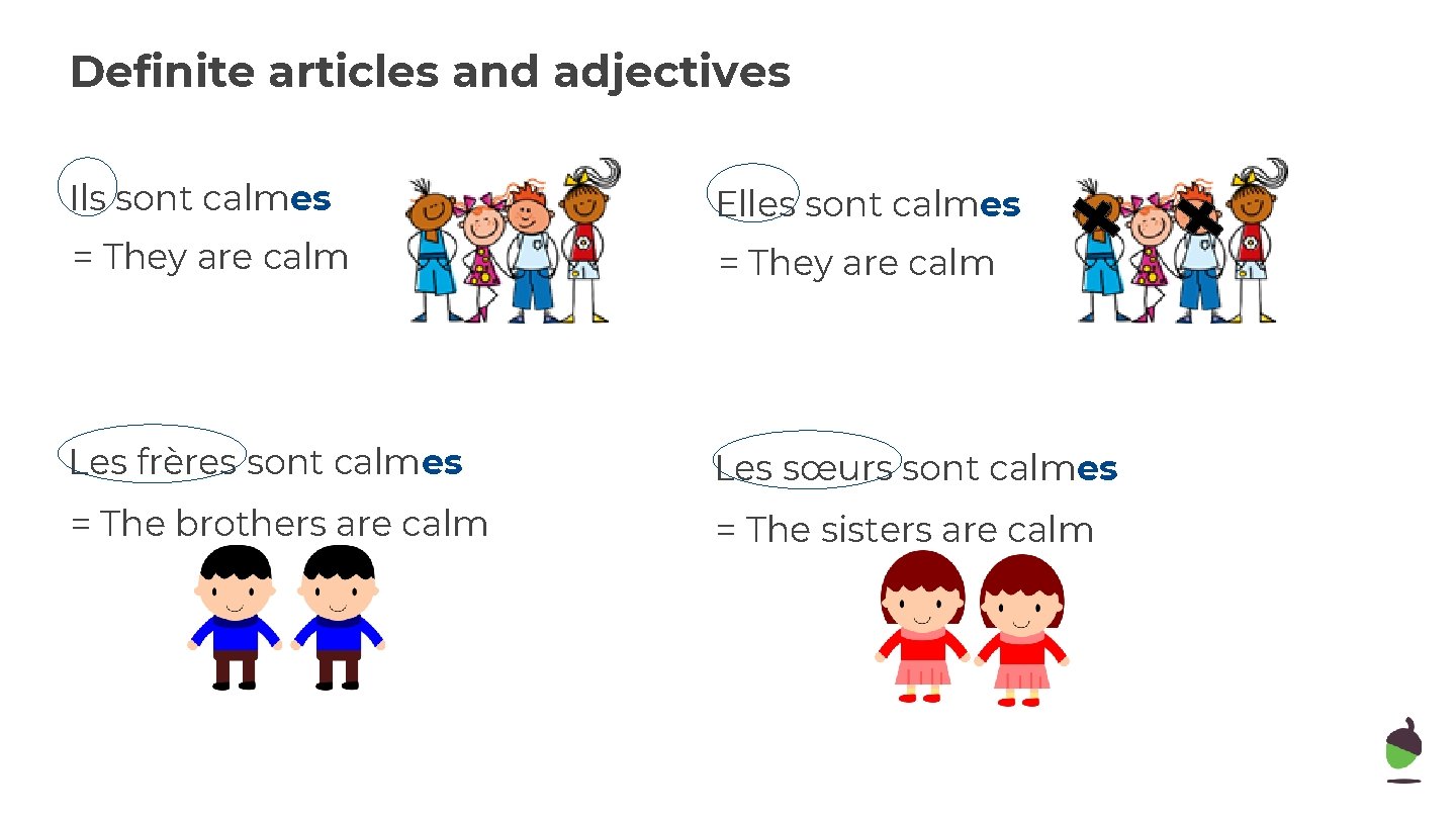 Definite articles and adjectives Ils sont calmes Elles sont calmes = They are calm