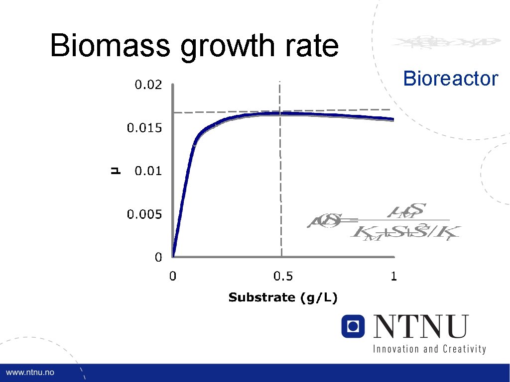 Biomass growth rate Bioreactor 