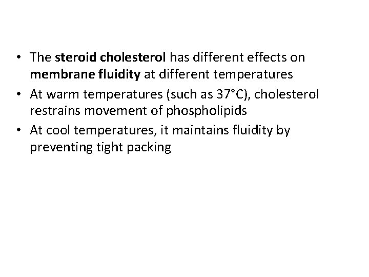  • The steroid cholesterol has different effects on membrane fluidity at different temperatures