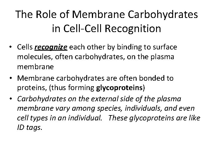 The Role of Membrane Carbohydrates in Cell-Cell Recognition • Cells recognize each other by