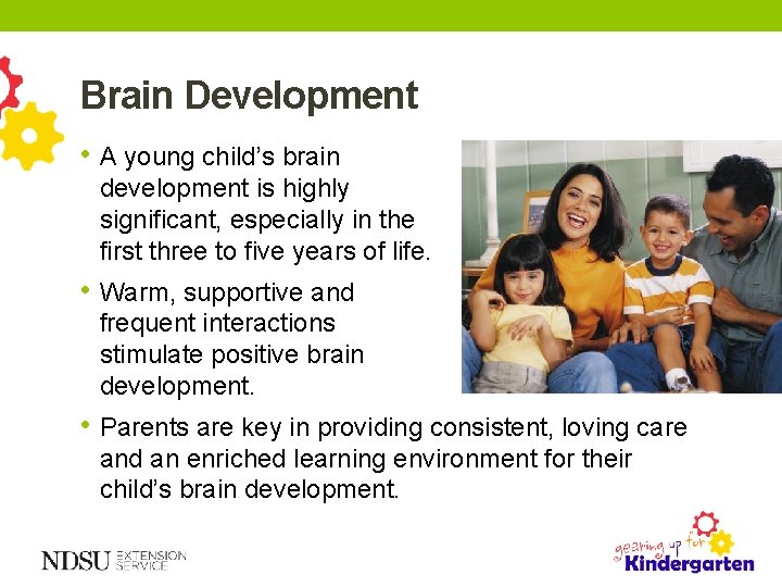 Brain Development • A young child’s brain development is highly significant, especially in the