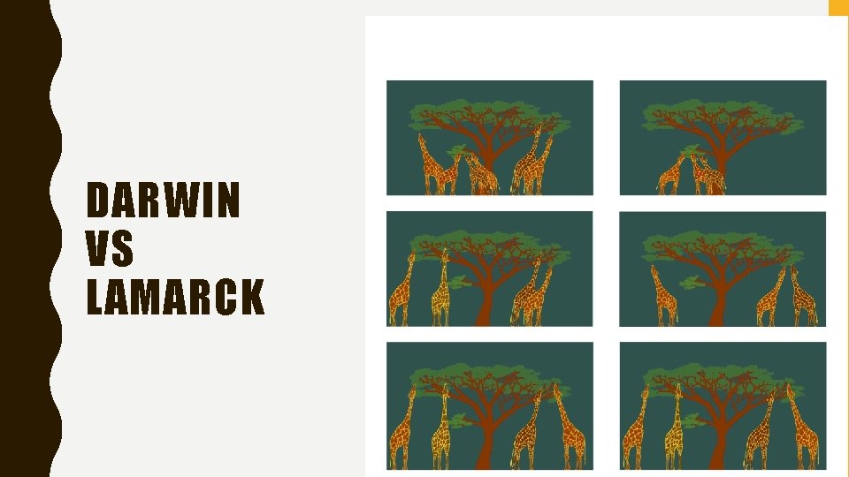 DARWIN VS LAMARCK DARWIN VS LAMARCK