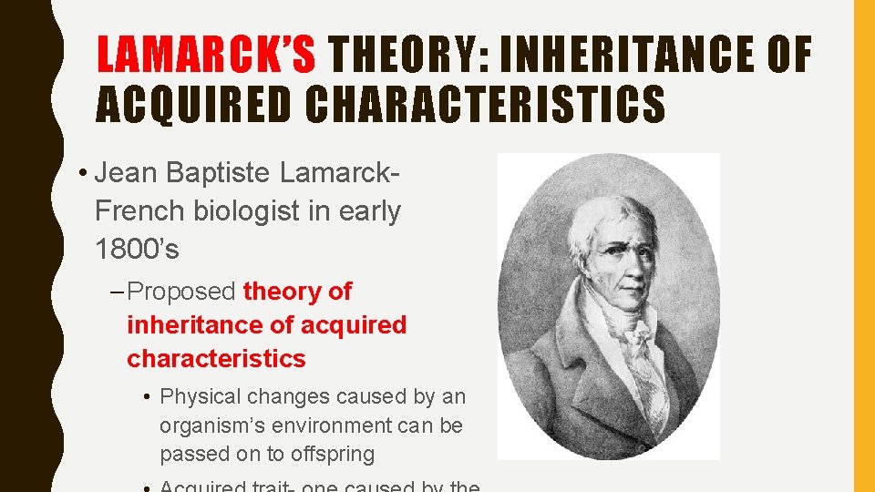 LAMARCK’S THEORY: INHERITANCE OF ACQUIRED CHARACTERISTICS • Jean Baptiste Lamarck. French biologist in early LAMARCK’S THEORY: INHERITANCE OF ACQUIRED CHARACTERISTICS • Jean Baptiste Lamarck. French biologist in early