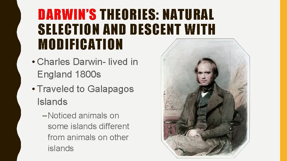 DARWIN’S THEORIES: NATURAL SELECTION AND DESCENT WITH MODIFICATION • Charles Darwin- lived in England DARWIN’S THEORIES: NATURAL SELECTION AND DESCENT WITH MODIFICATION • Charles Darwin- lived in England