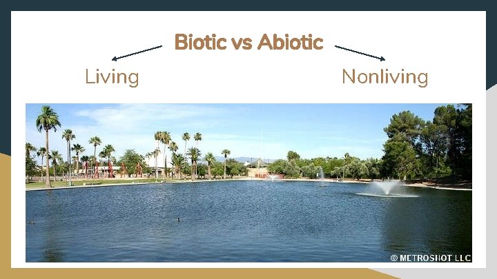 Biotic vs Abiotic Living Nonliving 