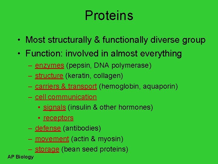 Proteins • Most structurally & functionally diverse group • Function: involved in almost everything
