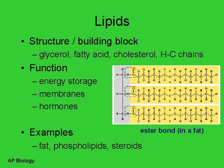 Lipids • Structure / building block – glycerol, fatty acid, cholesterol, H-C chains •