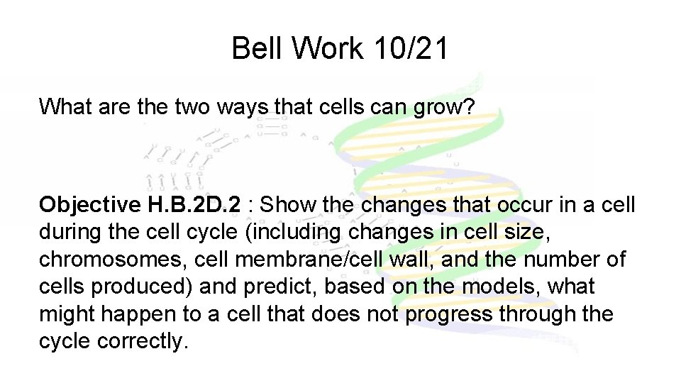 Bell Work 10/21 What are the two ways that cells can grow? Objective H.