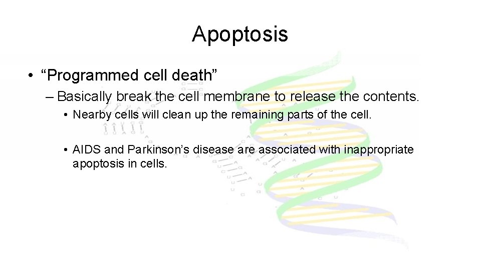 Apoptosis • “Programmed cell death” – Basically break the cell membrane to release the
