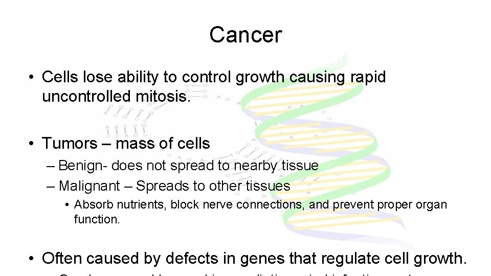Cancer • Cells lose ability to control growth causing rapid uncontrolled mitosis. • Tumors